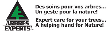 Arbres Experts Plus Inc.