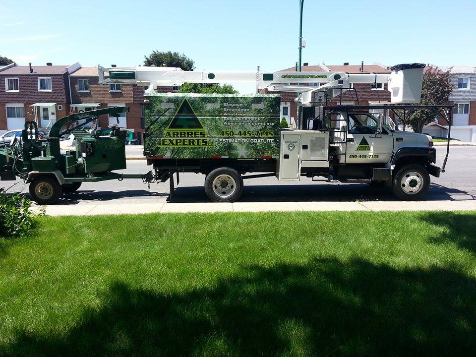 Déchiquetage des branches